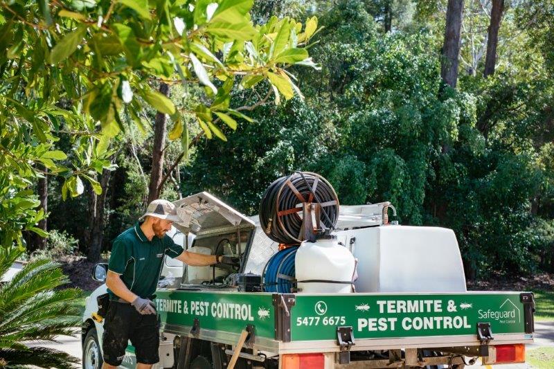 regular pest control services