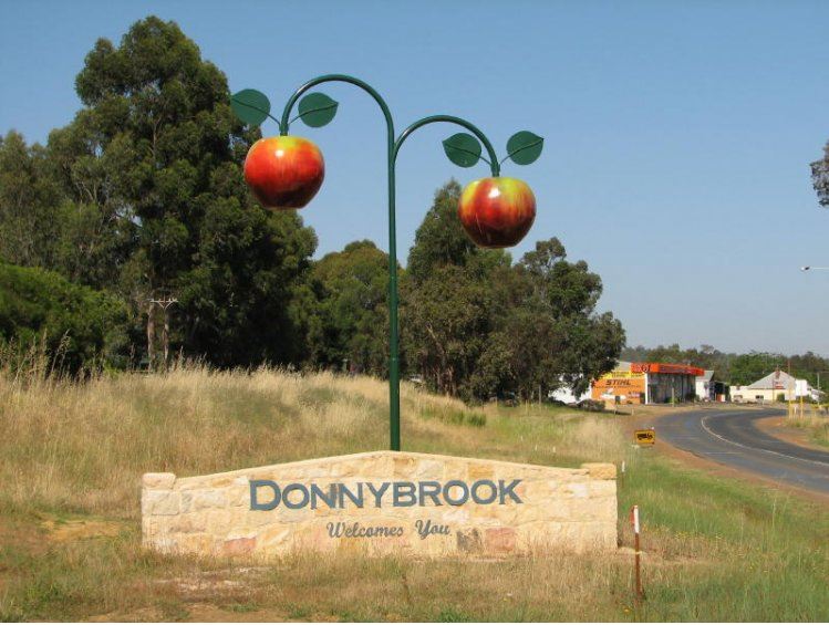 Pest Control Donnybrook