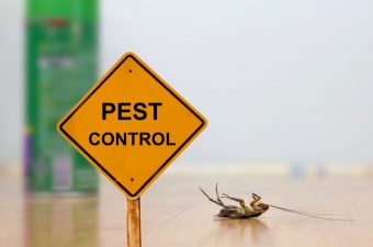reliable pest control