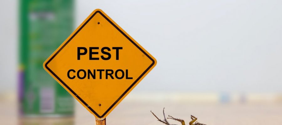 Pest Control Services