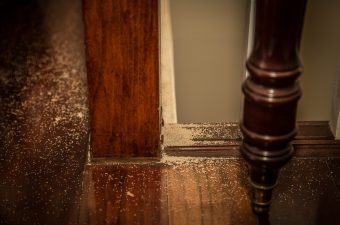 7 Small Signs of a Big Termite Problem